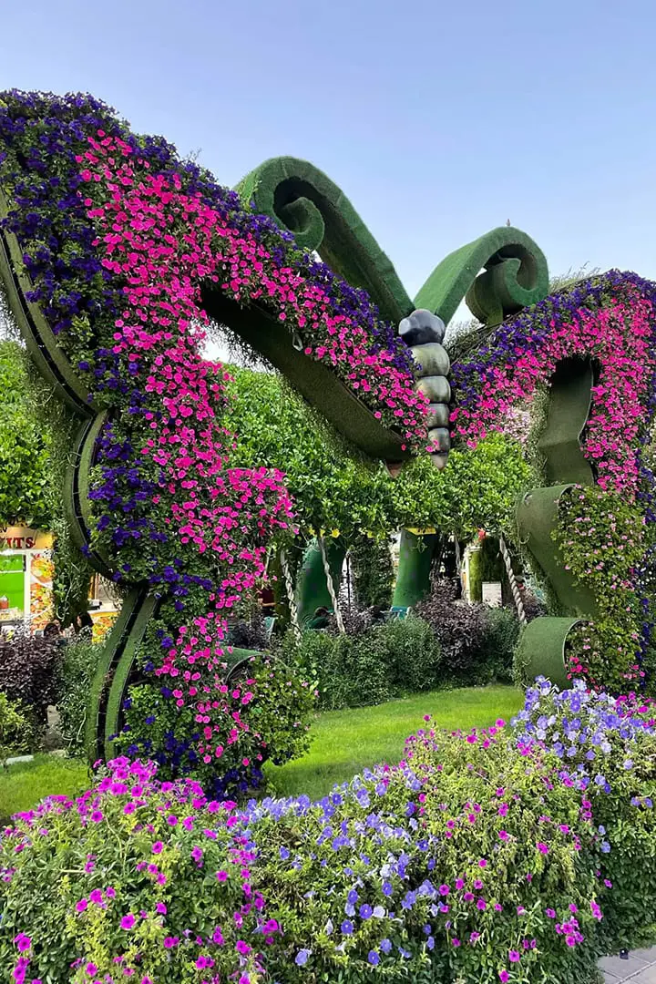 Dubai Butterfly Garden — photo 3 of 9